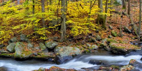 Specials Acorn Ridge Cabin Rentals